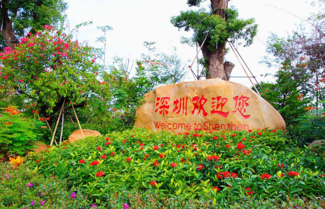 邁思奇是一個(gè)有故事的公司